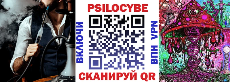 закладки  Видное  Галлюциногенные грибы MAGIC MUSHROOMS 